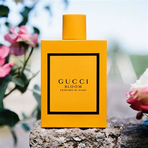 bloom profumo di fiori by gucci|gucci bloom 3.3 ounce.